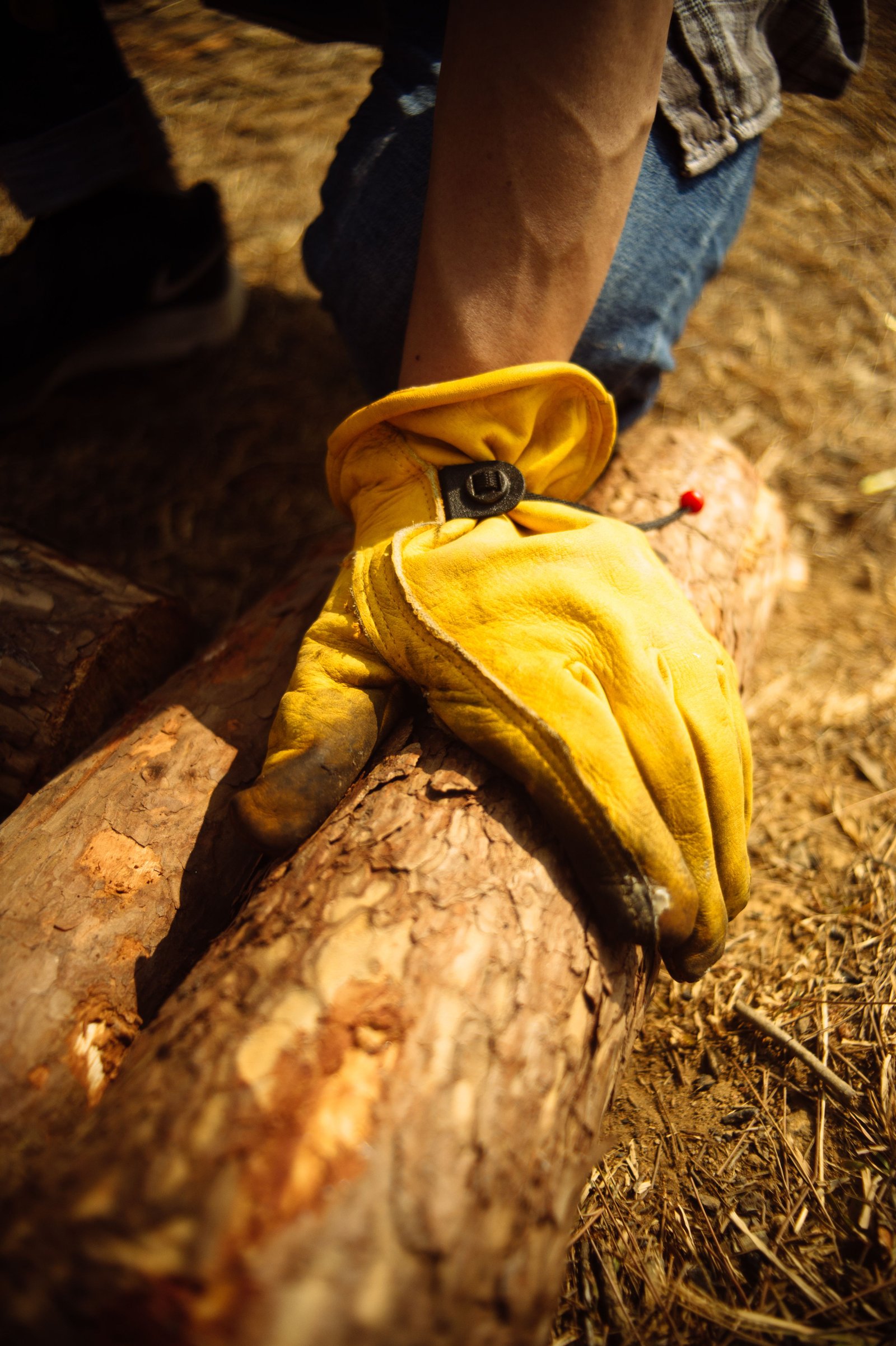 Driver Gloves