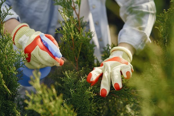 Garden Gloves